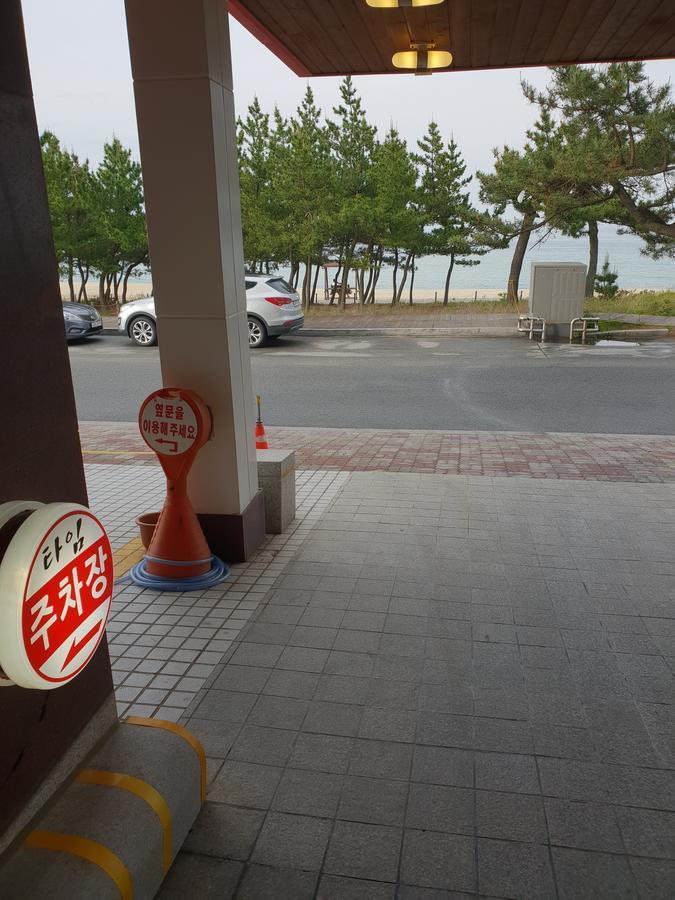 Time Motel Gangneung Exterior foto