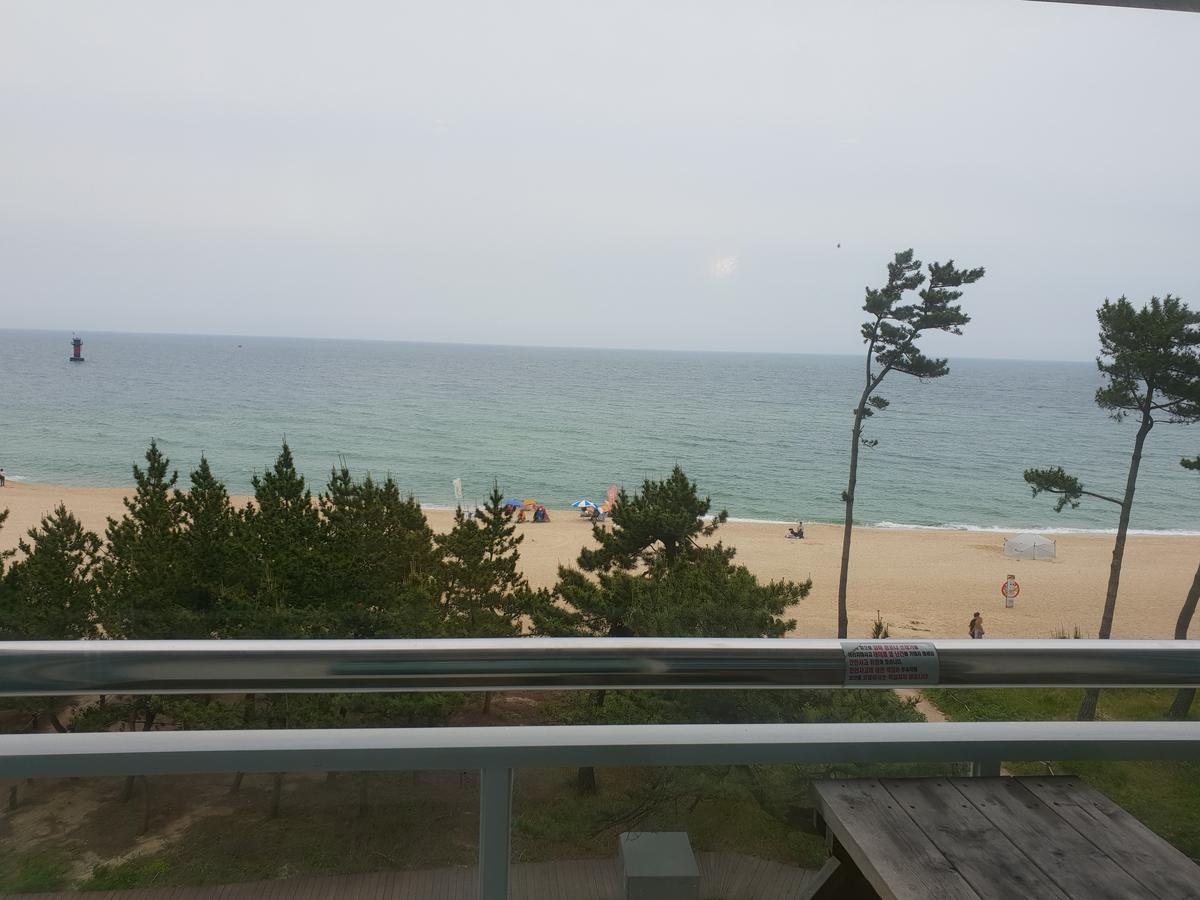 Time Motel Gangneung Exterior foto