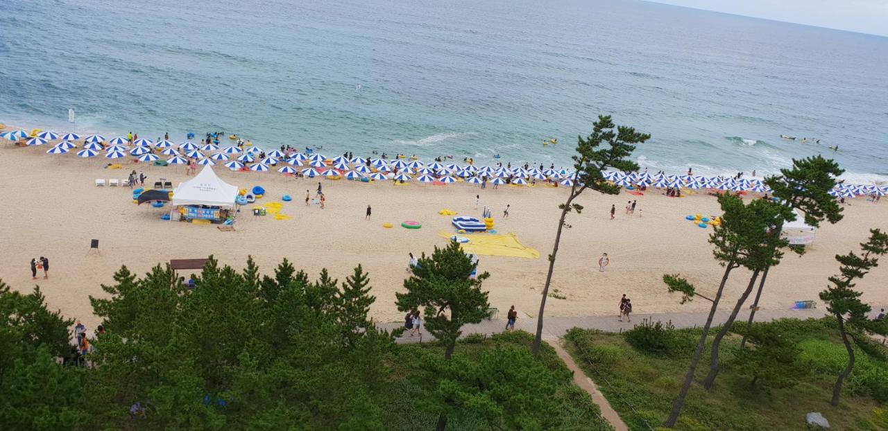 Time Motel Gangneung Exterior foto