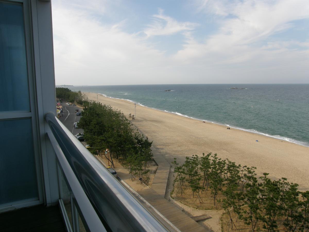 Time Motel Gangneung Exterior foto